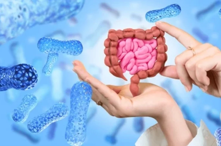 Digestive Health 